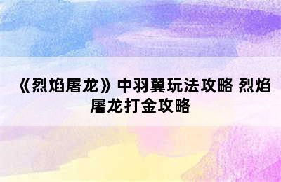 《烈焰屠龙》中羽翼玩法攻略 烈焰屠龙打金攻略